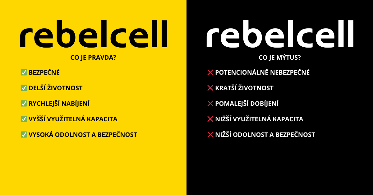 Článek 3